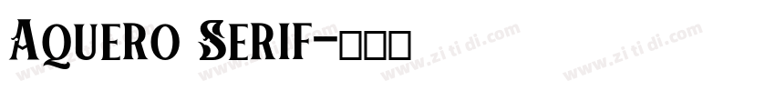Aquero Serif字体转换